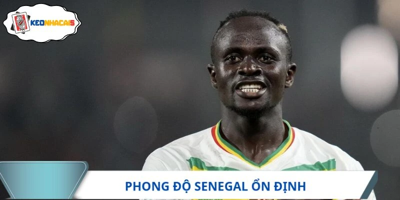 Senegal ấn tượng với phong độ ổn định