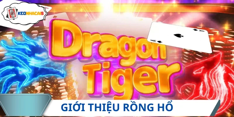 Sơ lược cách chơi rồng hổ