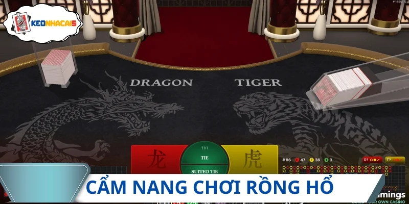 Hướng dẫn cách chơi rồng hổ từ A-Z cho người mới tham khảo