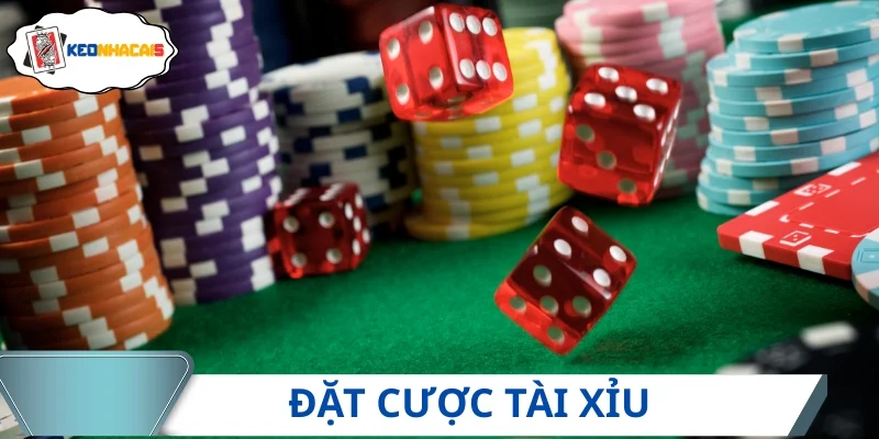 Hướng dẫn thao tác cách chơi tài xỉu cho người chơi