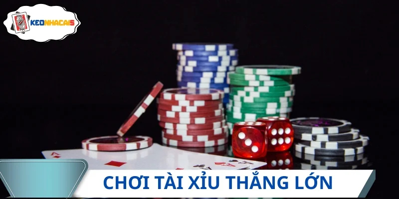 Bật mí cách chơi tài xỉu hốt bạc, đổi đời ngay tức thì