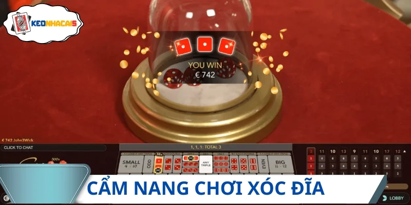 Bỏ túi cách chơi xóc đĩa từ cao thủ, hốt bạc nhanh chóng