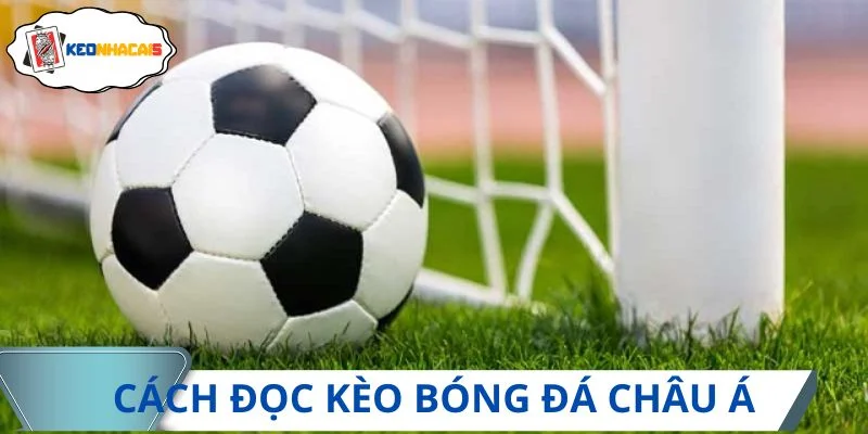 Cách đọc kèo bóng đá Handicap được tìm kiếm nhiều