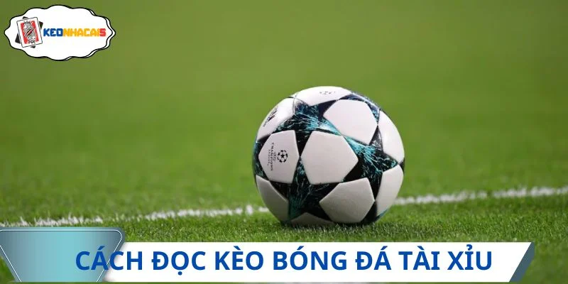 Tài Xỉu được ưa chuộng nhiều trong giới cá cược