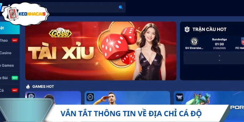 Vắn tắt thông tin về địa chỉ cá độ Fabet