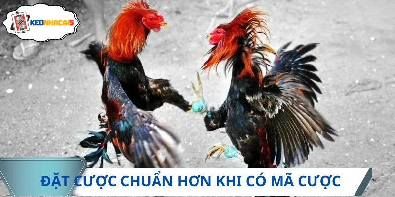 Đặt cược chuẩn hơn khi có ký tự định danh
