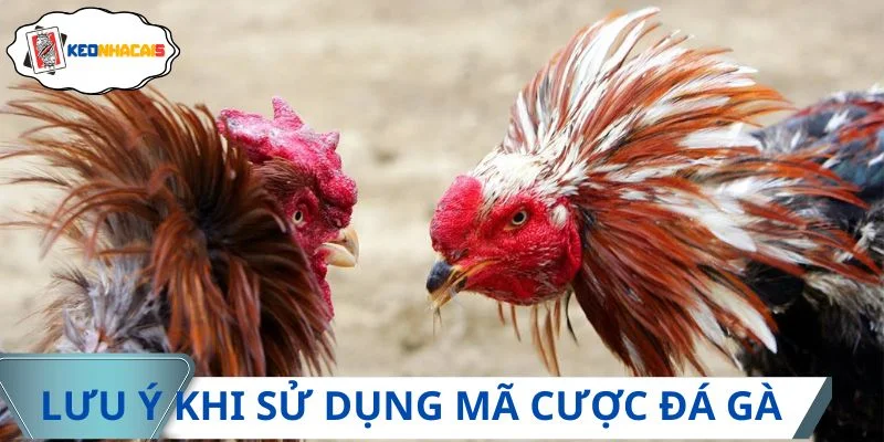 Cần lưu ý vài điểm khi tiến hành sử dụng