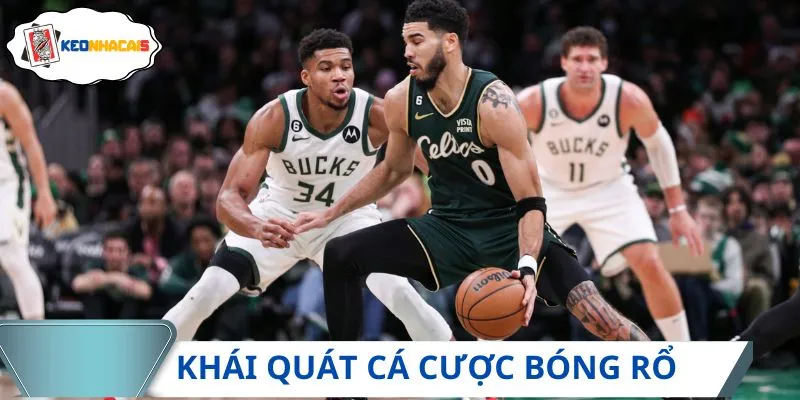 Khái quát cá cược bóng rổ
