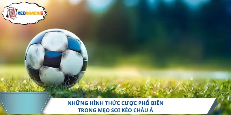 Những hình thức cược phổ biến trong mẹo soi kèo châu Á