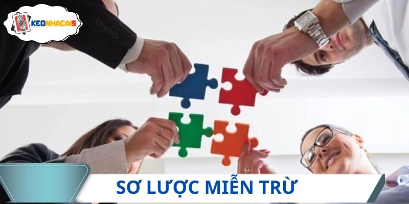 Khái quát sơ lược về nguyên tắc miễn trách nhiệm