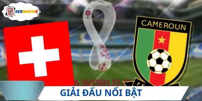 Tổng quan những giải đấu được chuyên mục trực tiếp bóng đá phát sóng