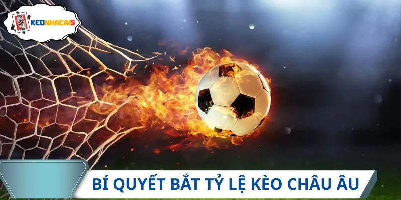 Cách chơi tỷ lệ kèo châu Âu chuẩn xác, ăn đậm